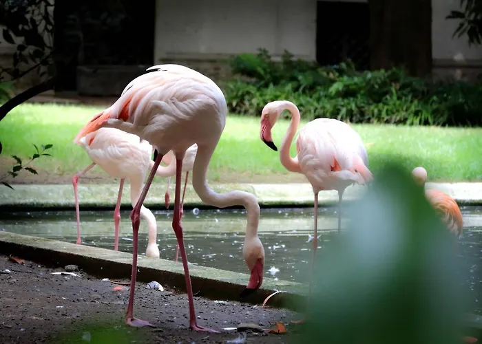 Vico Fashion District Pensión Milán